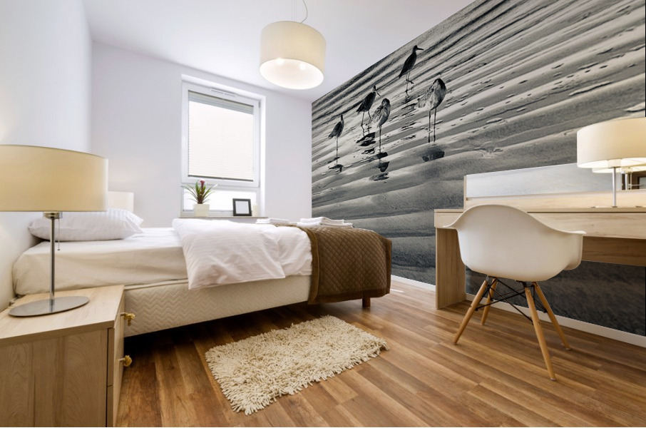 Sandpipers Mural print