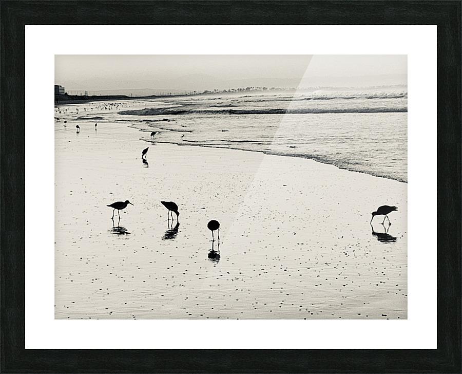 Sandpipers Picture Frame print