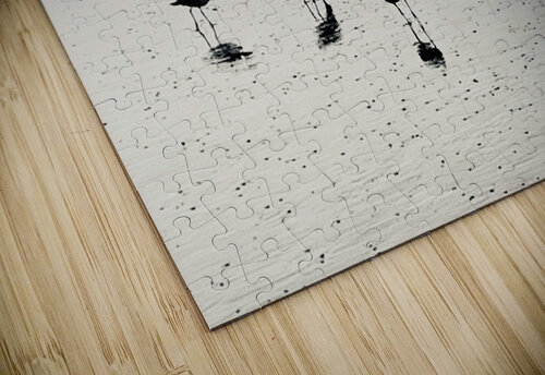 Sandpipers Laetitia puzzle