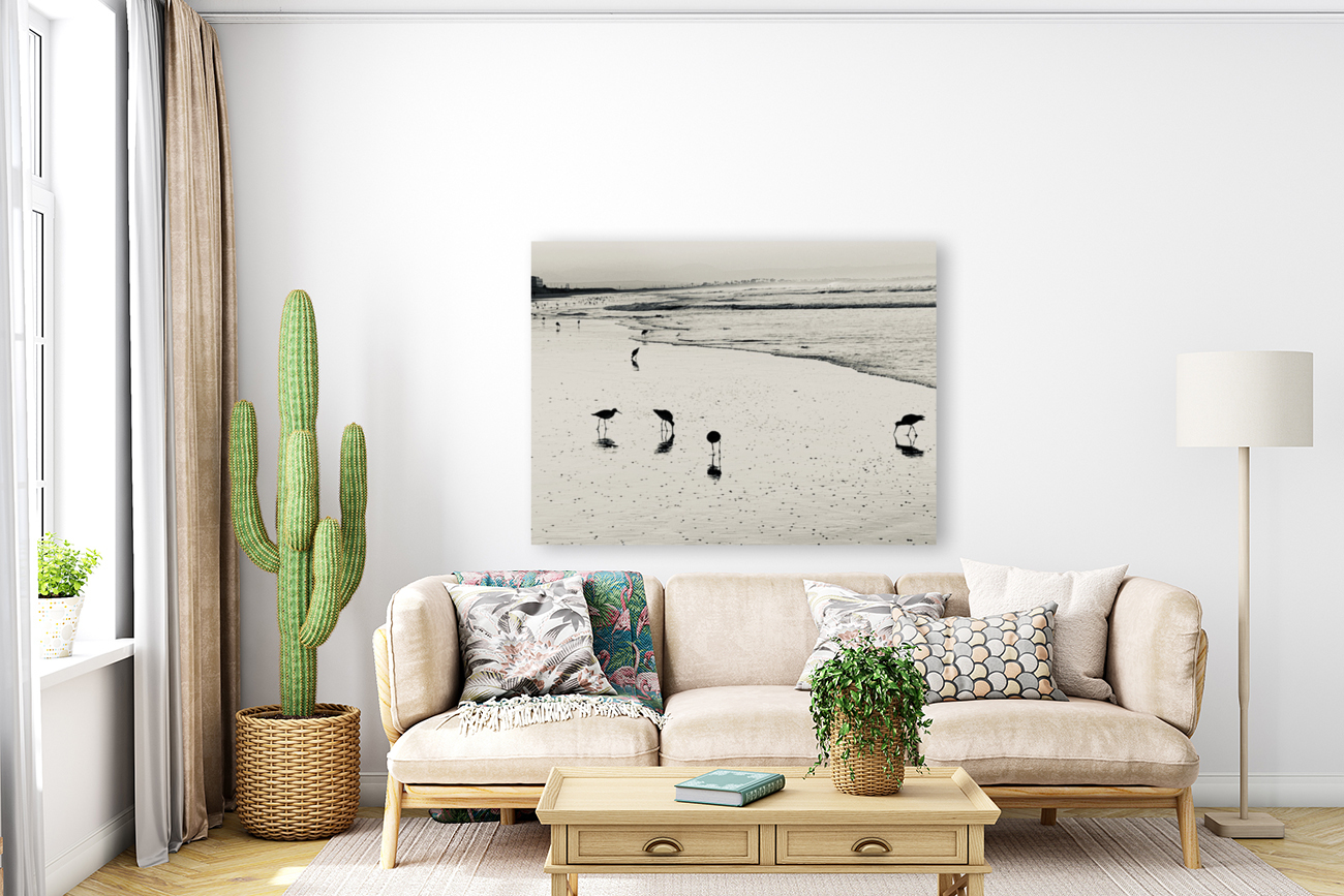 Sandpipers Reproduction