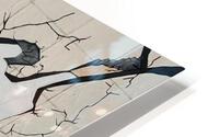 Baobab HD Metal print