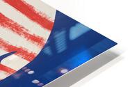 American Flag Skull HD Metal print