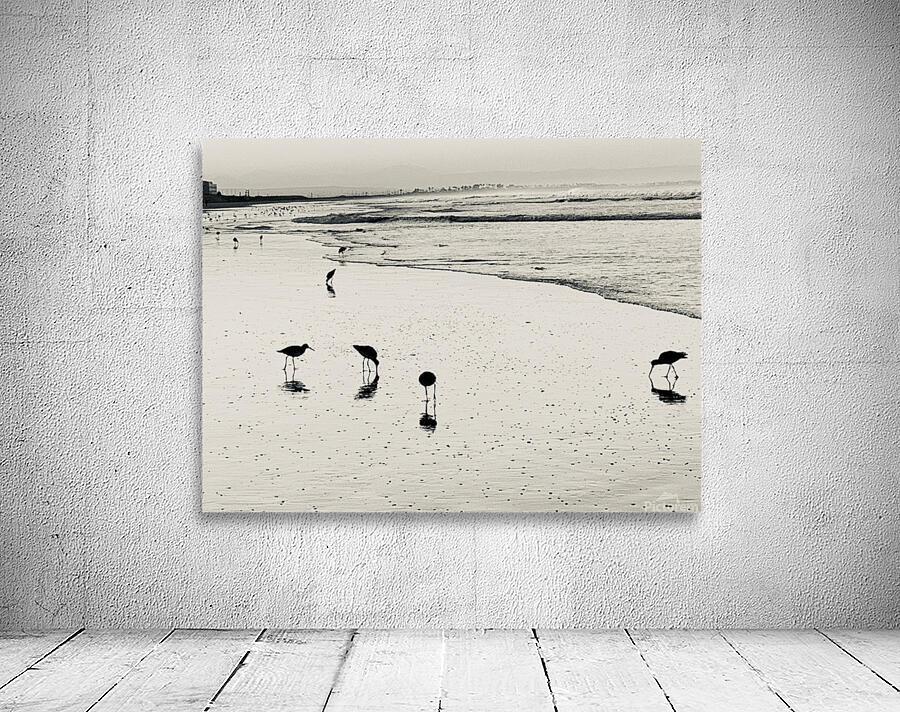 Sandpipers Wall Preview