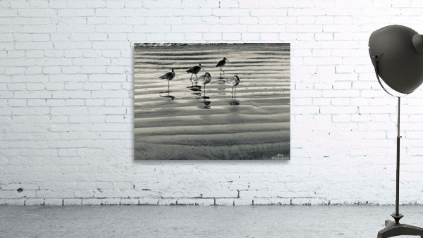 Sandpipers Wall Preview