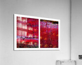 Seeing Red 02 Acrylic Print