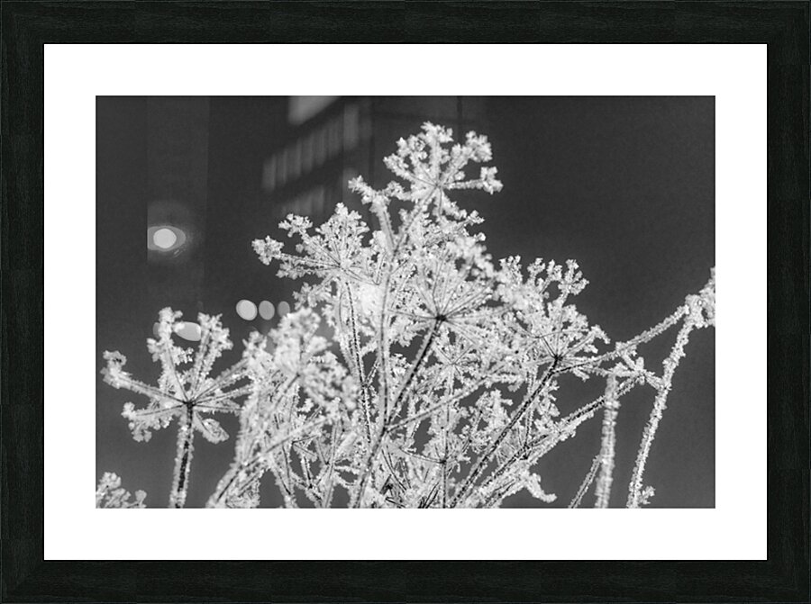 Natures glitter Picture Frame Printing