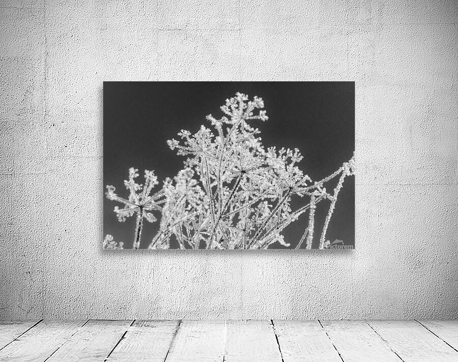 Natures glitter Wall Preview