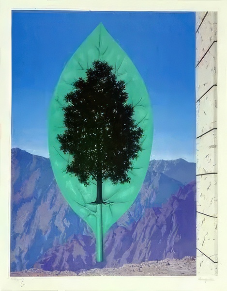 Rene Magritte Digital Download