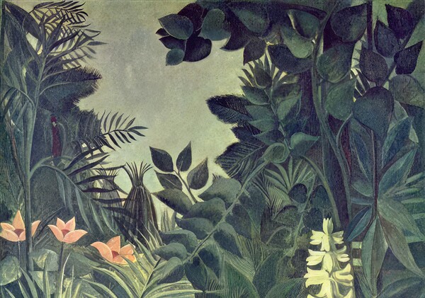 Henri Rousseau 21 Digital Download
