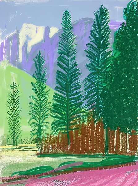 David Hockney 49 Digital Download