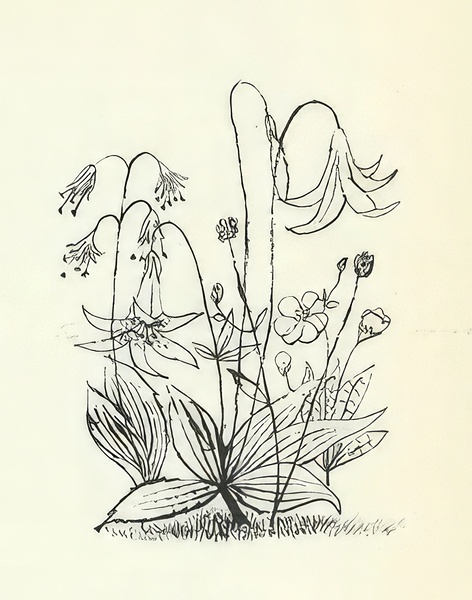 Ben Shahn 35 Digital Download