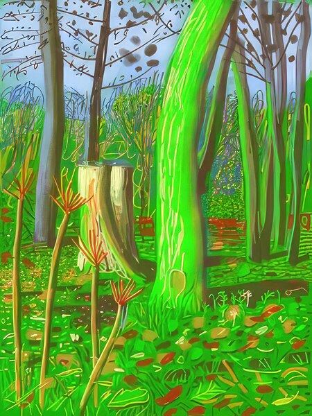 David Hockney 1 Digital Download