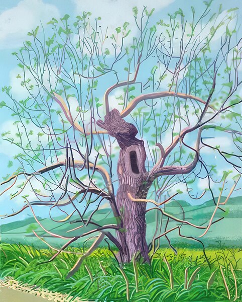 David Hockney 1 Digital Download