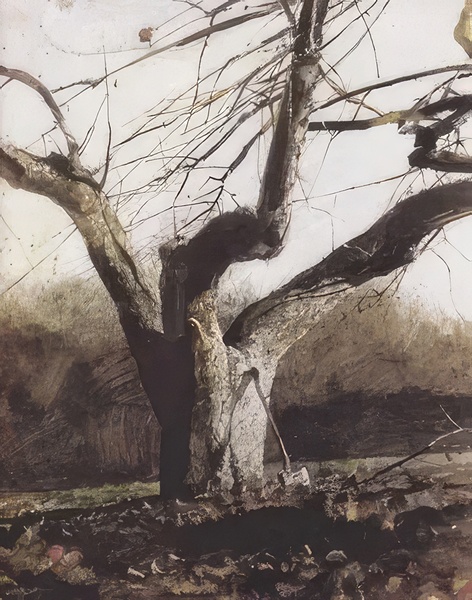 Andrew Wyeth Digital Download