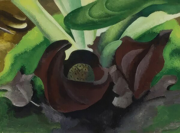 Georgia OKeeffe 23 Digital Download