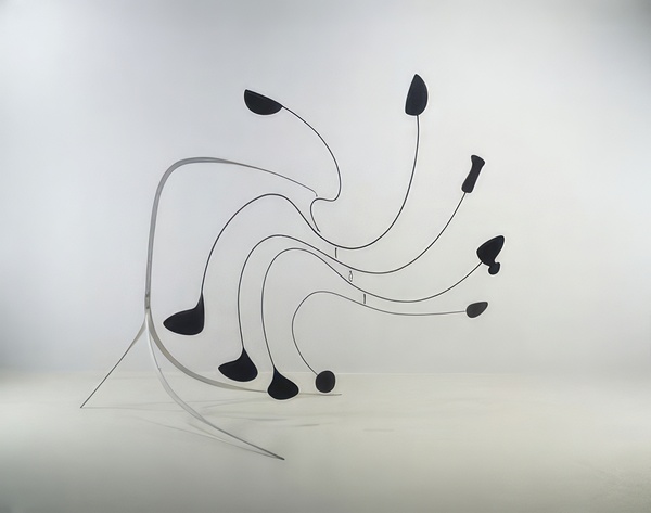 Alexander Calder 42 Digital Download