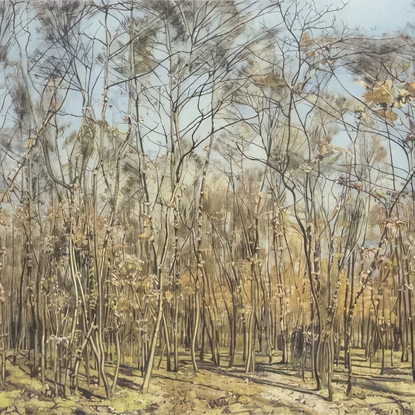 Art by Ferdinand Hodler  50 Digital Download