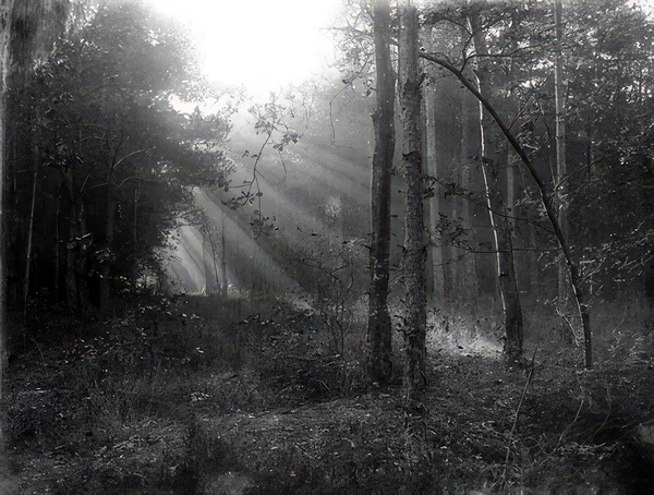 Félix Thiollier 40 Digital Download