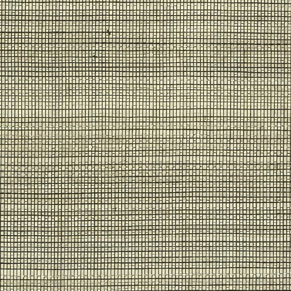 Agnes Martin    11 Digital Download