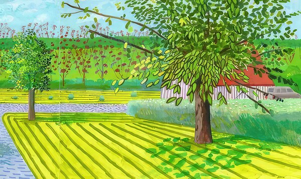 David Hockney 20 Digital Download