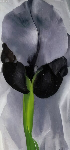 Georgia OKeeffe 42 Digital Download