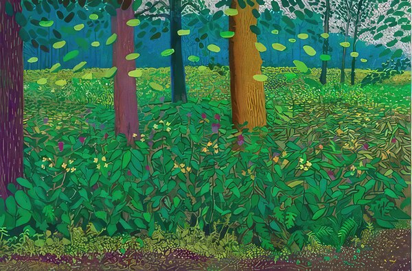 David Hockney 46 Digital Download