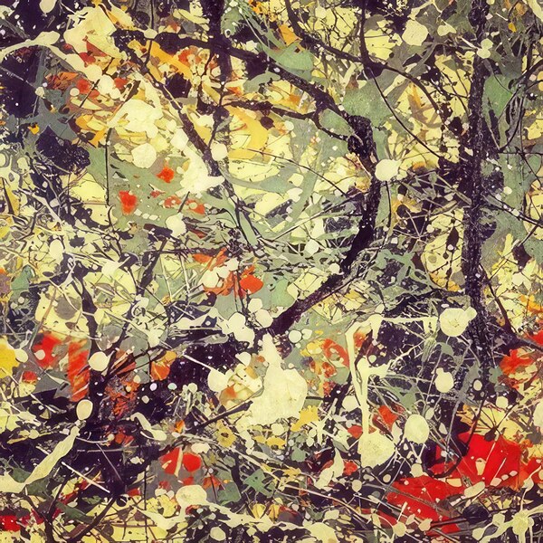 Jackson Pollock 24 Digital Download