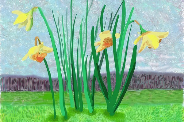 David Hockney 52 Digital Download
