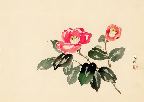 suchiya Koitsu 9 Digital Download