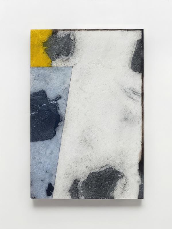 Brice Marden Digital Download