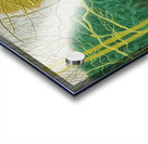 David Hockney 7 Acrylic print