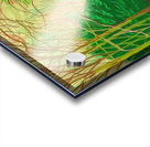 David Hockney 27 Impression Acrylique