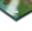 David Hockney 29 Acrylic print