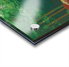 David Hockney  Acrylic print