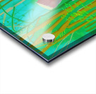 David Hockney  Acrylic print