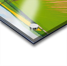 David Hockney  Acrylic print