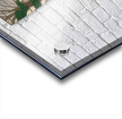 David Hockney 53 Acrylic print