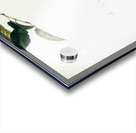 Apples on a Bough Study Before Picking   Contempo - Andrew Wyeth Acrylic print