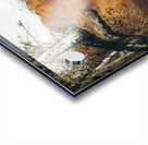 Autumn   Contemporary Realism - Andrew Wyeth Acrylic print