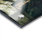 Bird In The House   Contemporary Realism - Andrew Wyeth Acrylic print