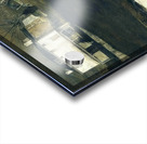 Brown Swiss   Contemporary Realism - Andrew Wyeth Acrylic print