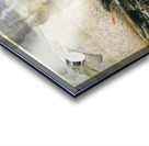 Embers   2000 - Andrew Wyeth Acrylic print