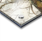 Andrew Wyeth Acrylic print