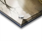 Andrew Wyeth Acrylic print