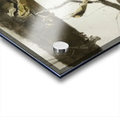 Andrew Wyeth Acrylic print