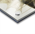 Andrew Wyeth Acrylic print