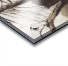 Andrew Wyeth Acrylic print