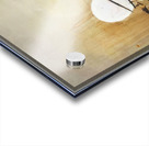 Andrew Wyeth Acrylic print