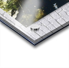 Walking Stick   Contemporary Realism - Andrew Wyeth Acrylic print