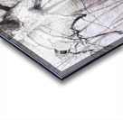 Walking Stick   Contemporary Realism - Andrew Wyeth Acrylic print